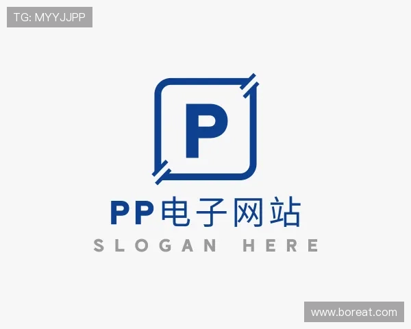 认识pp电子网站