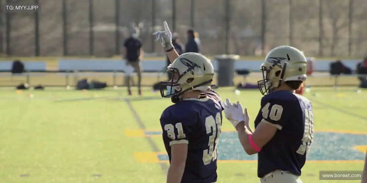 👑 以匠心雕琢品质,做行业标杆的探索者!🏆